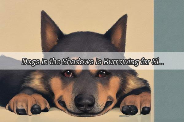 Dogs in the Shadows Is Burrowing for Sleep a Natural Necessity